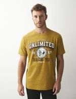CAMISETA-HOMBRE-CLASSIC-CHEVIGNON-642D006-AMARILLO-1.JPG