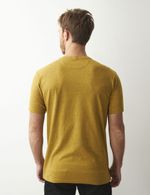 CAMISETA-HOMBRE-CLASSIC-CHEVIGNON-642D006-AMARILLO-2.JPG