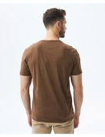 CAMISETA-HOMBRE-CLASSIC-CHEVIGNON-641E003-CAFE-2.JPG